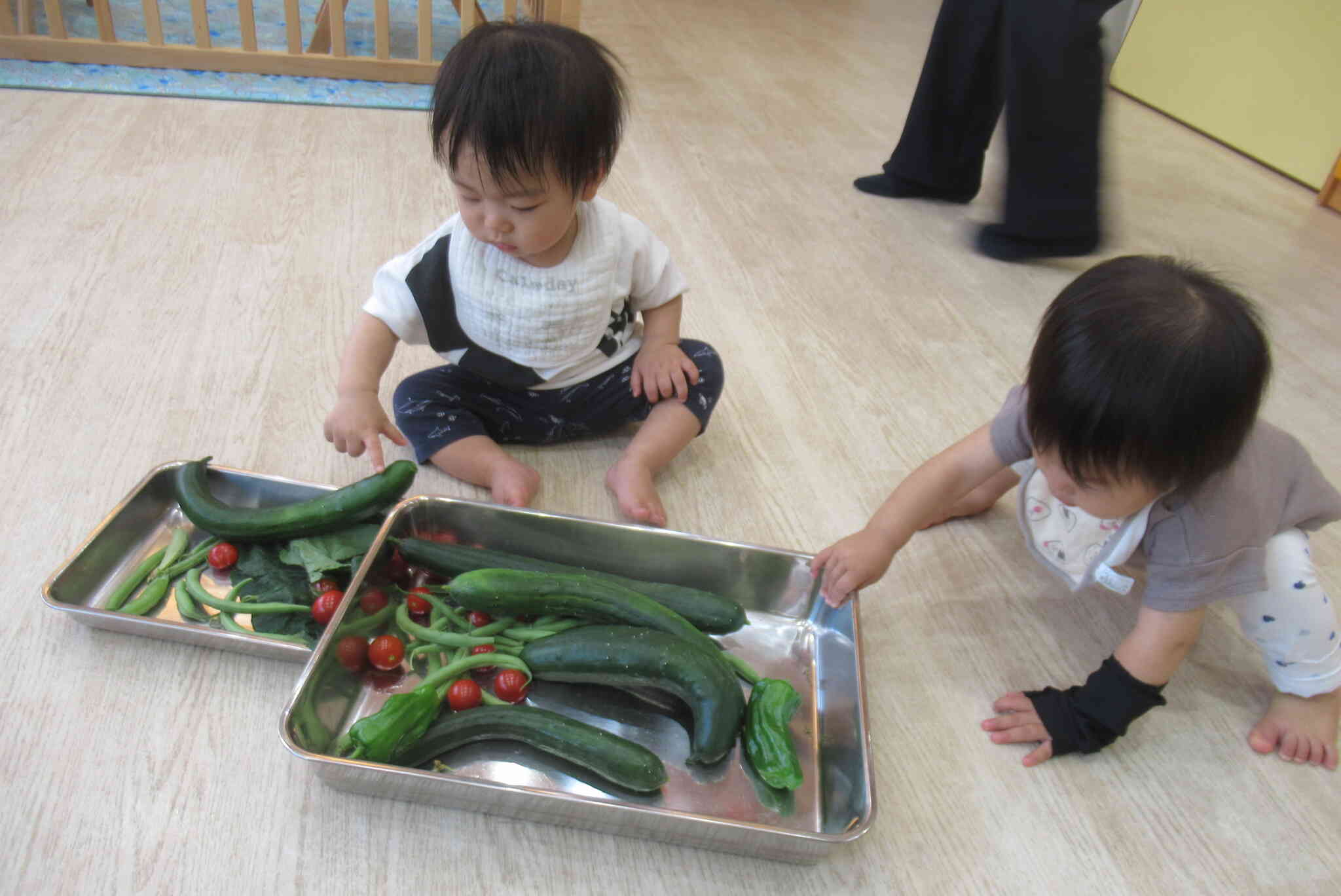 お野菜ツンツン