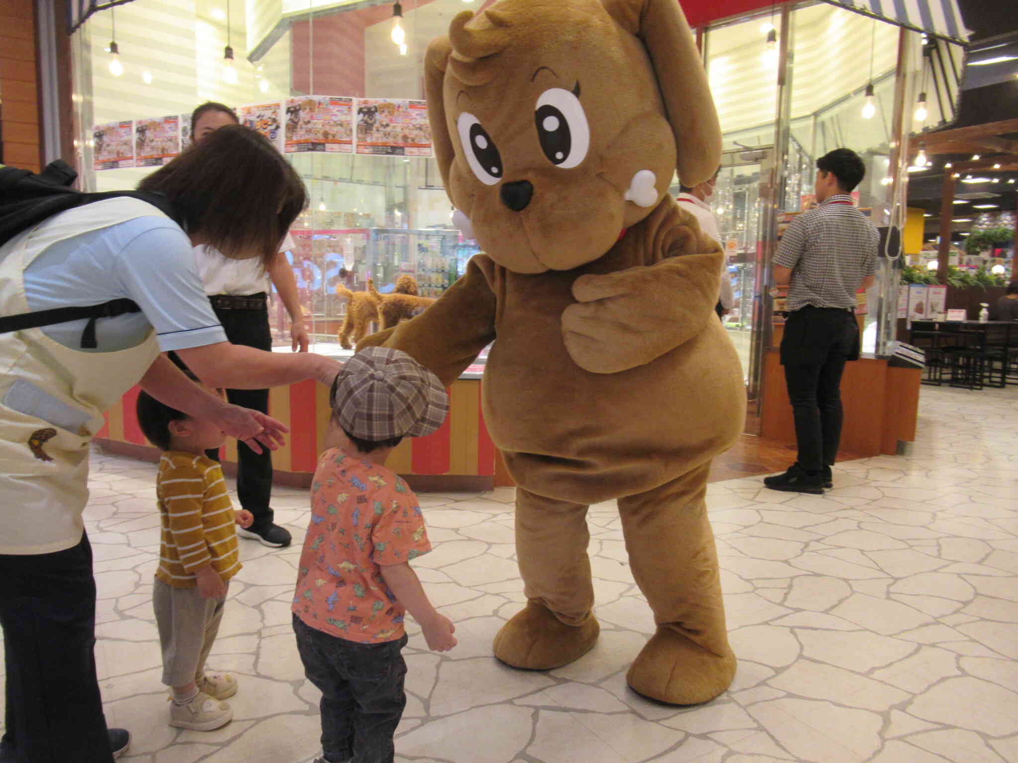 ワンダーくん、こんにちは！