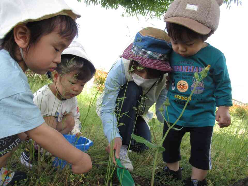 晴れた日には近くの公園にお散歩。最近は虫探しに夢中の子どもたち