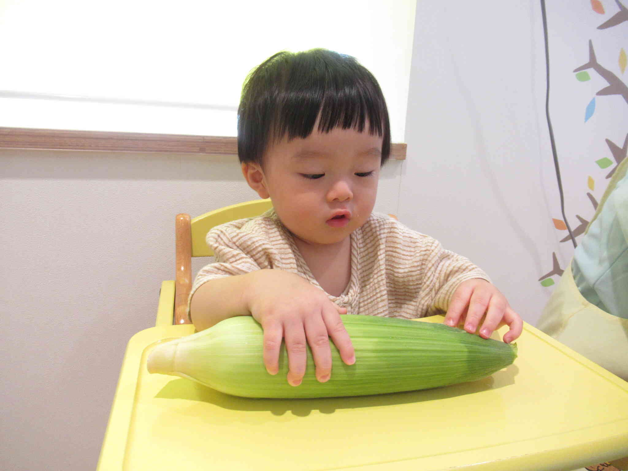 0歳児ひよこ組のお友だちも触ってみました♪