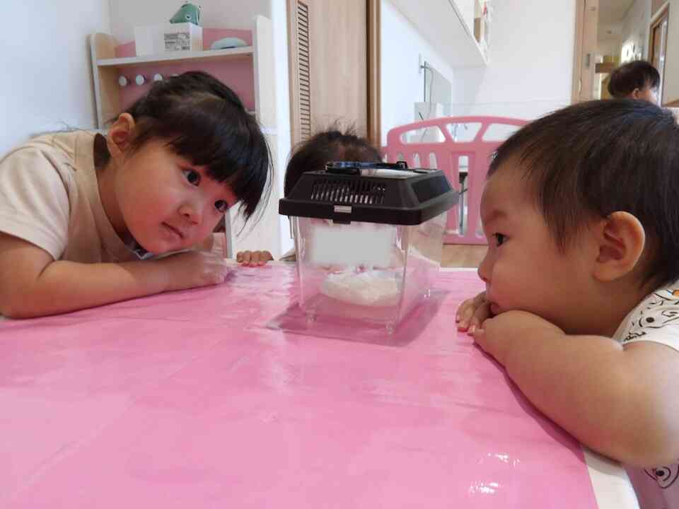 かえるさん！こんにちは