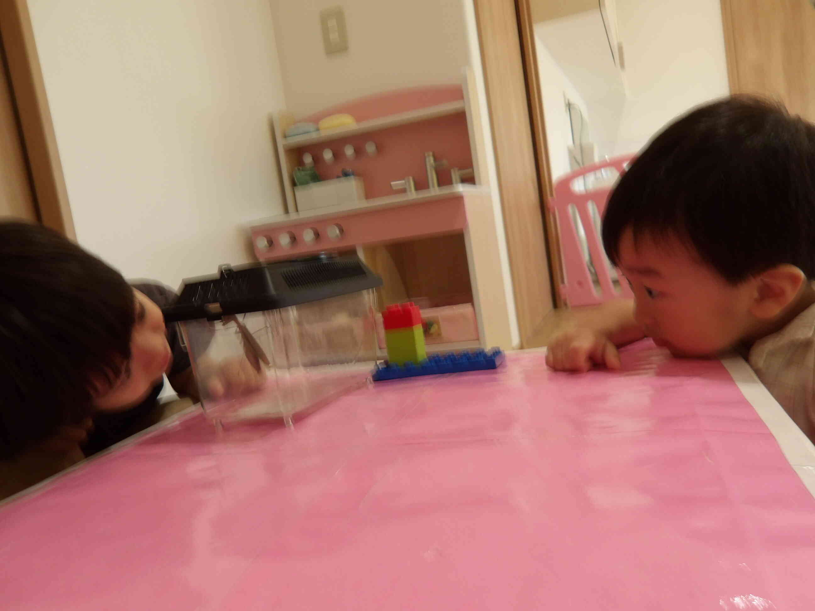 「次はこうやって見てみよう♪」