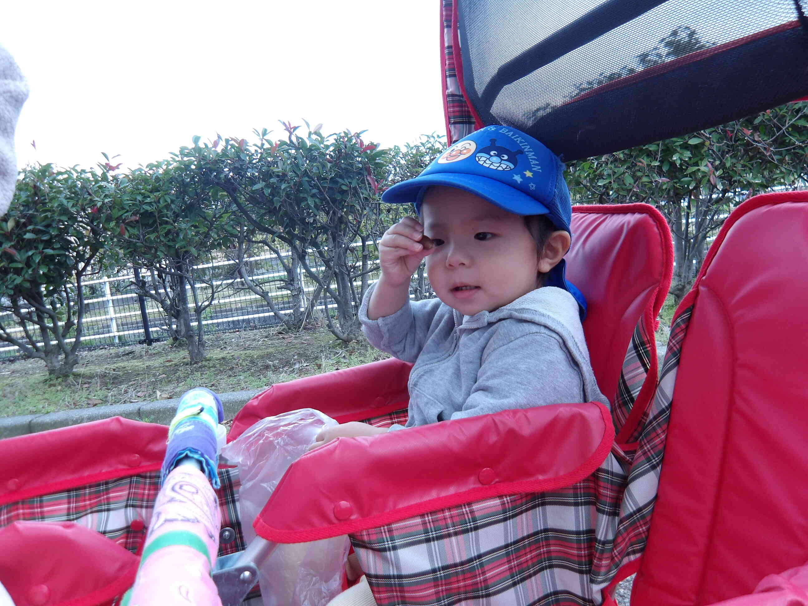 「どんぐりころころどんぶりこ～♪」