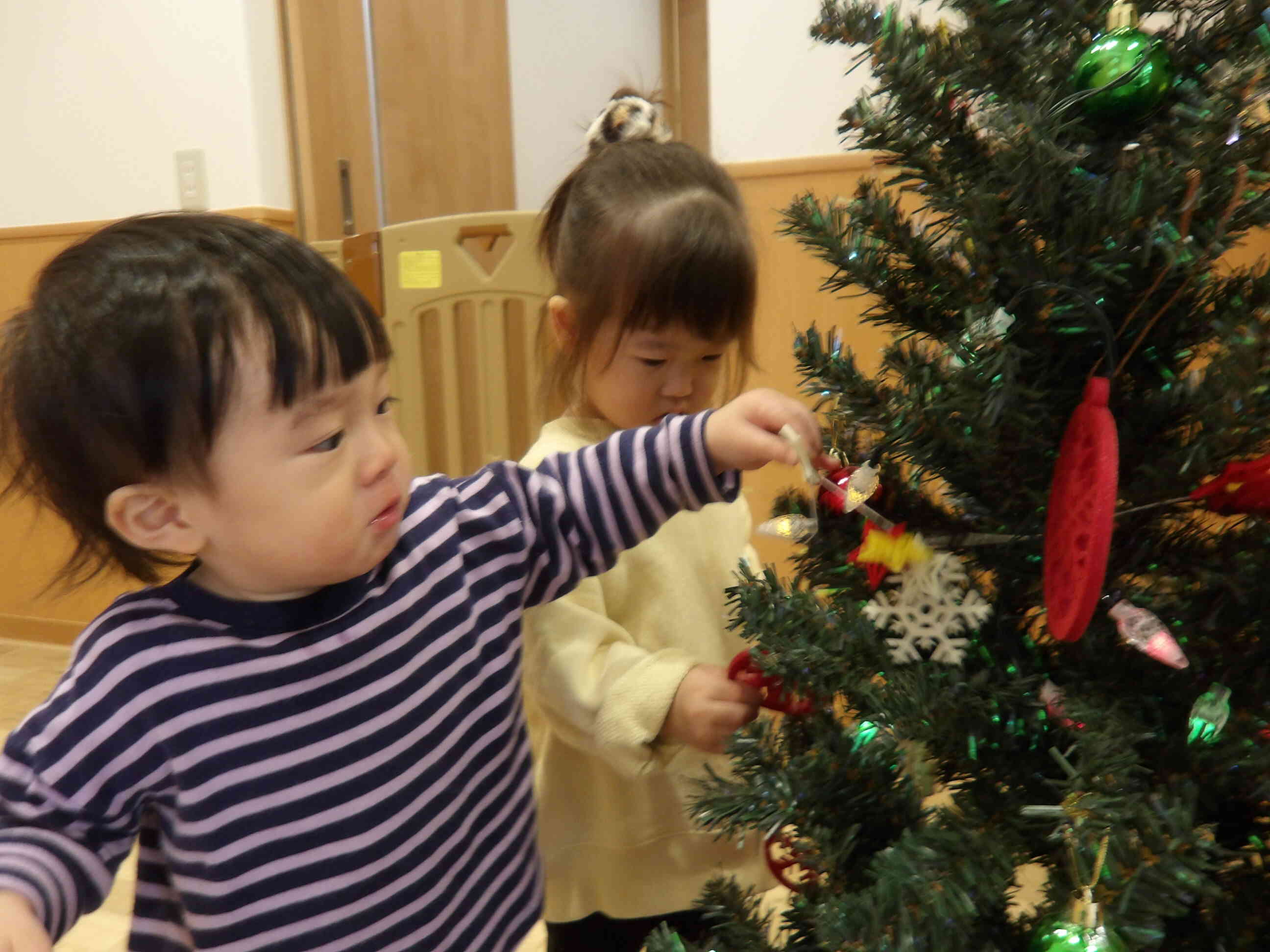 きらきらの飾りに、興味津々です！！