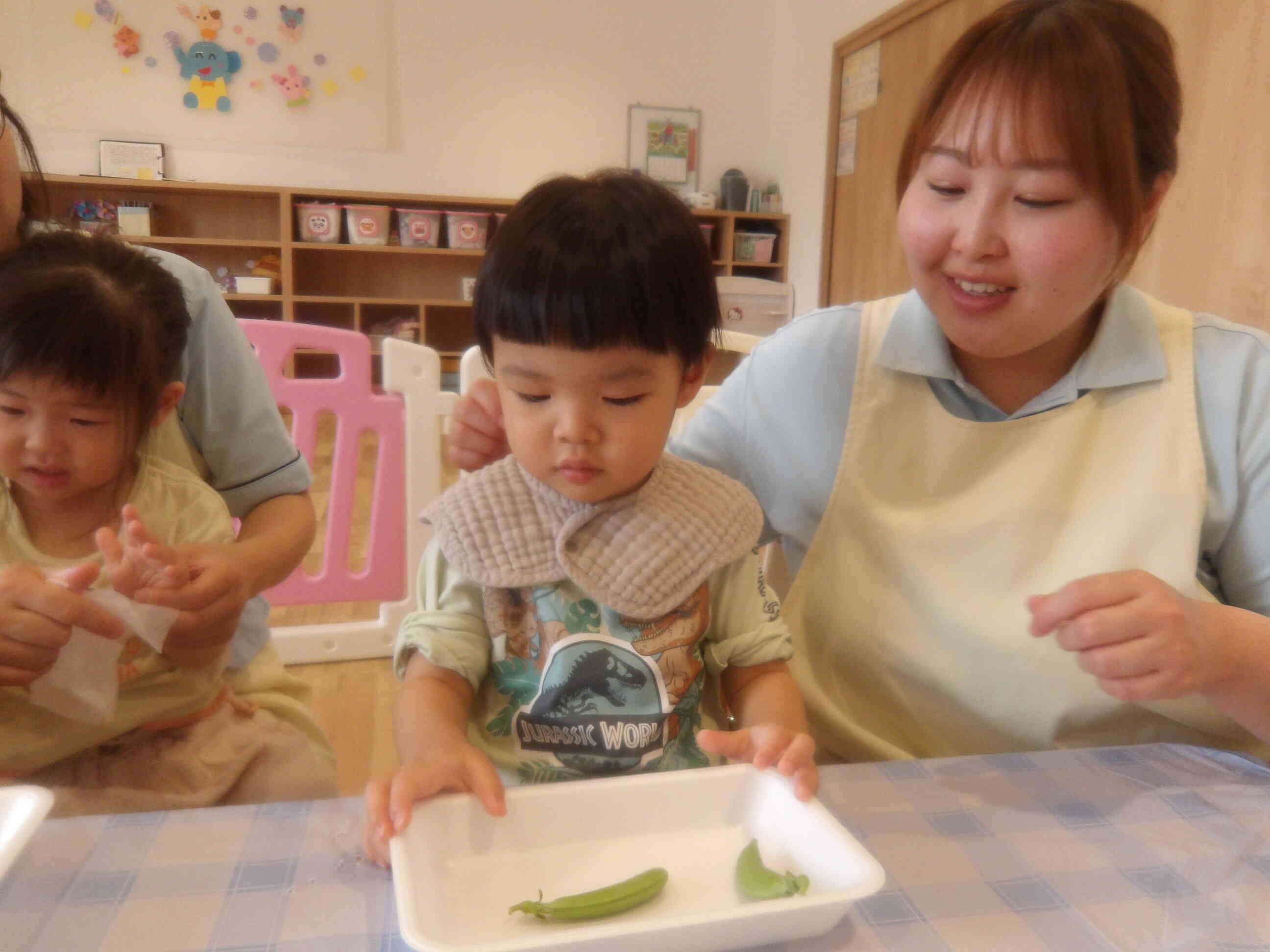 野菜をさわってみたよ