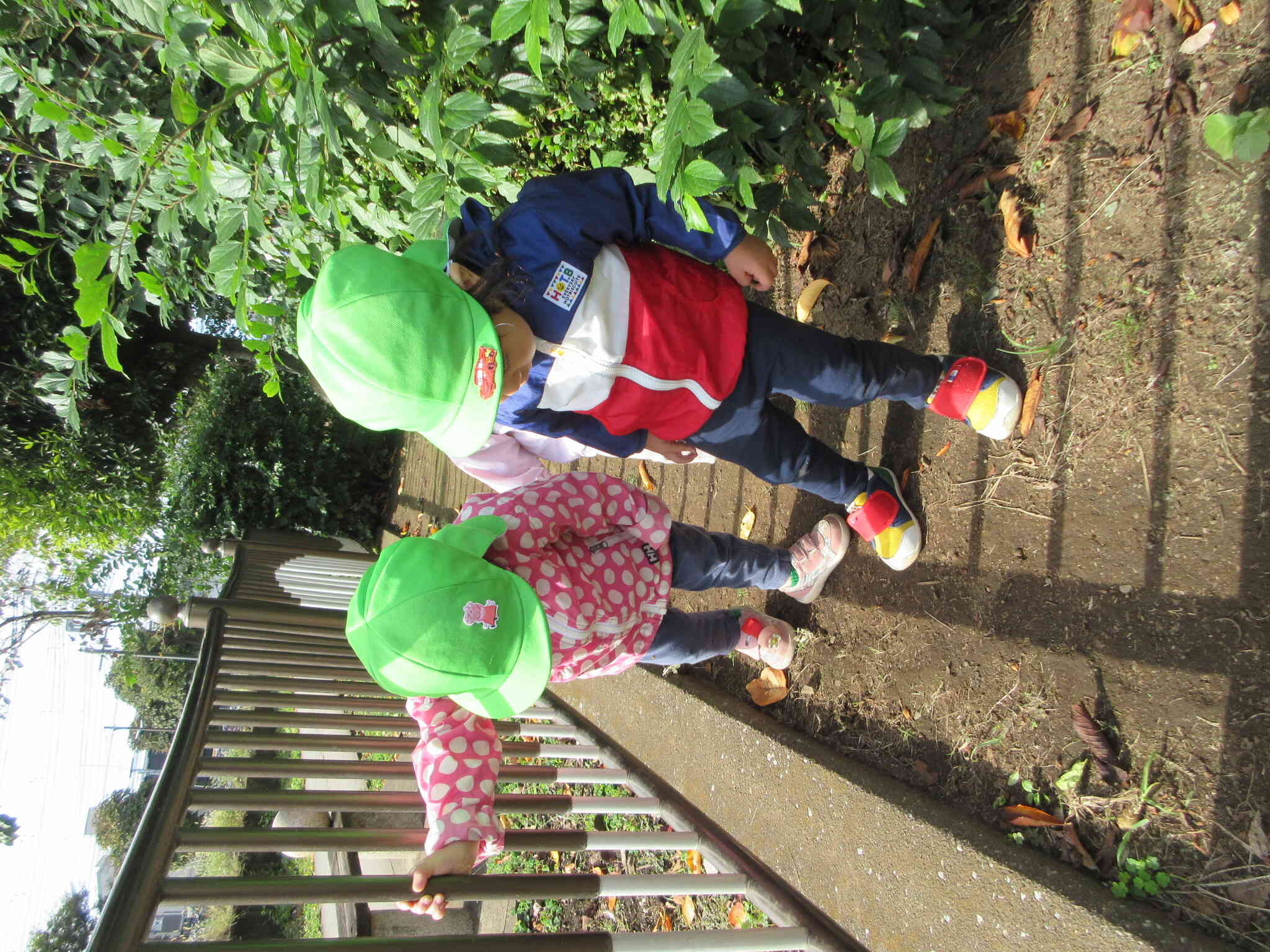 どんぐり 落ちてるかな？