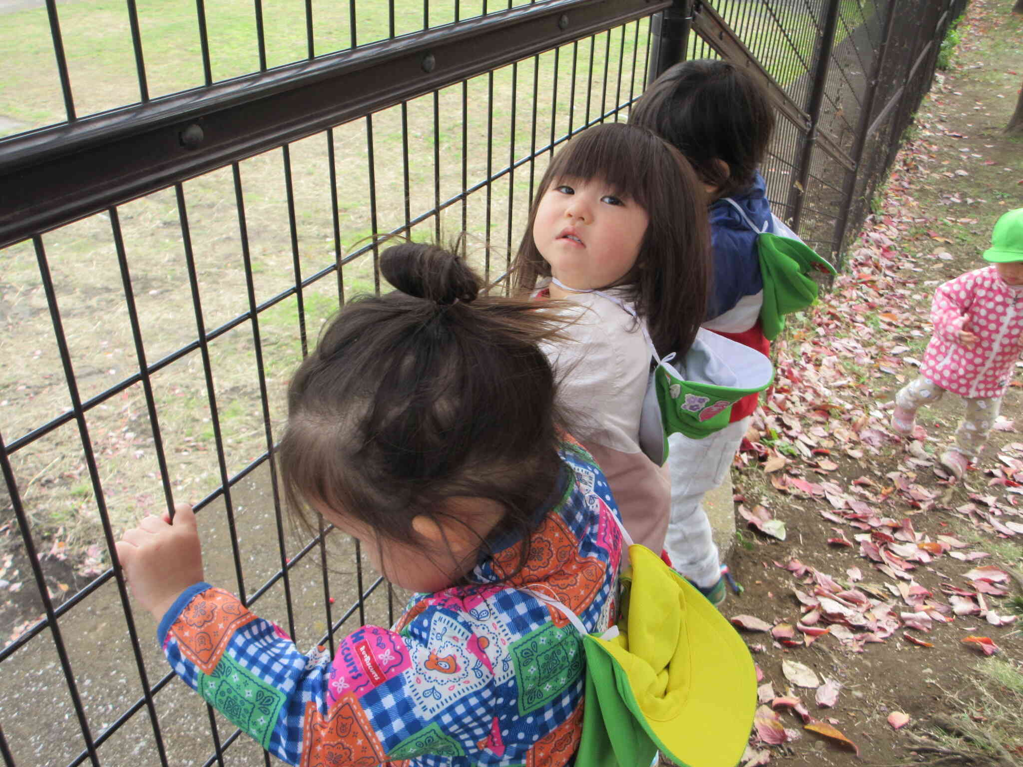 電車の音が聞こえるね♬