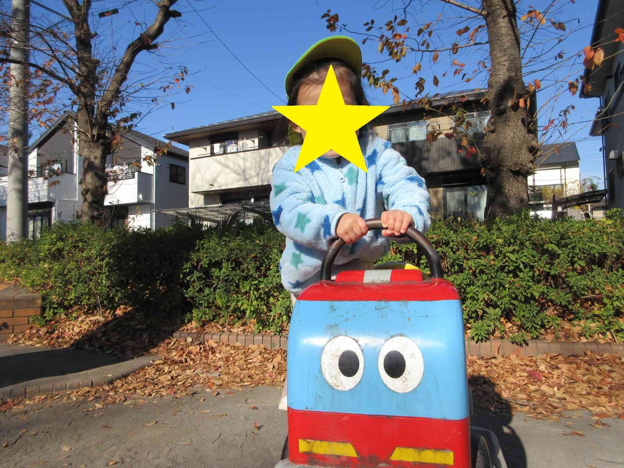 自分で登れちゃうよ♪