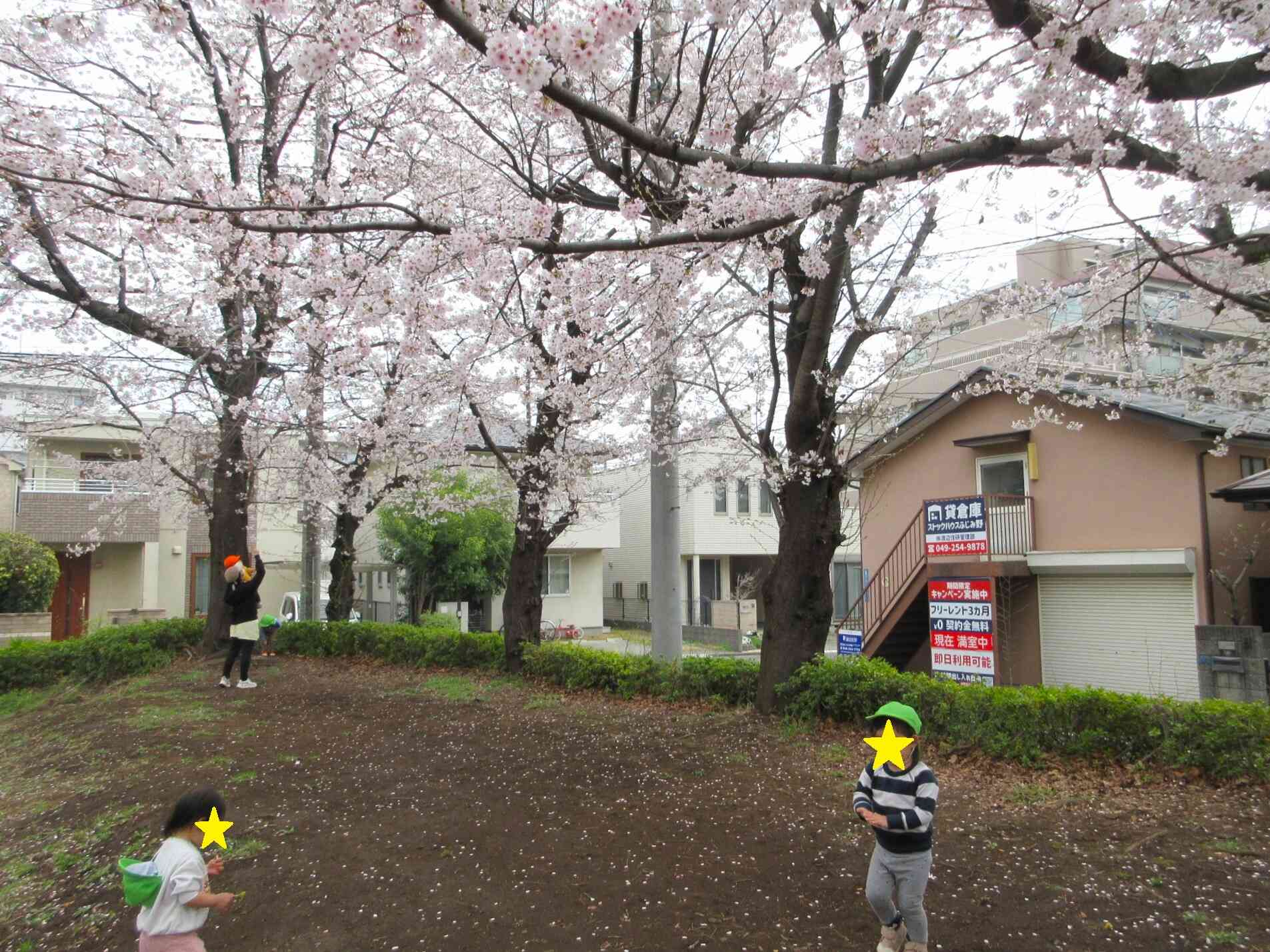 桜の木の下で♪