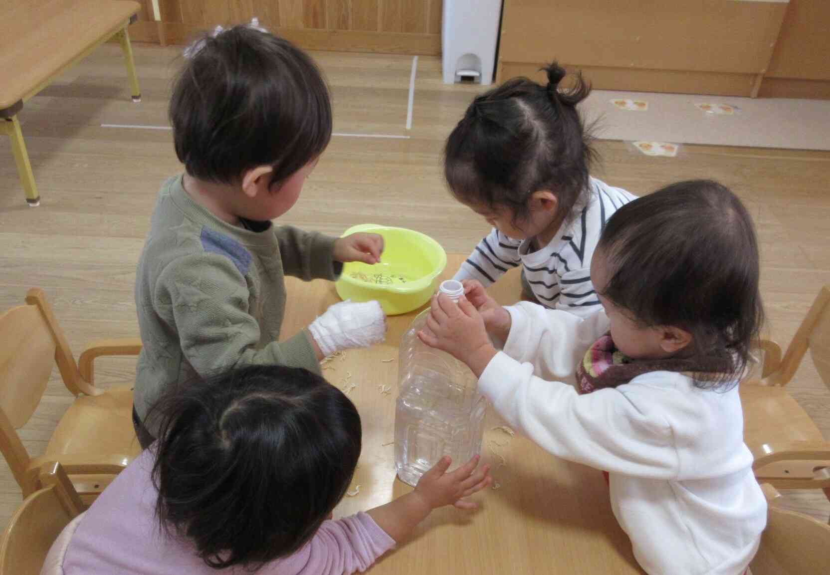 乾物をお水に入れてみよう!