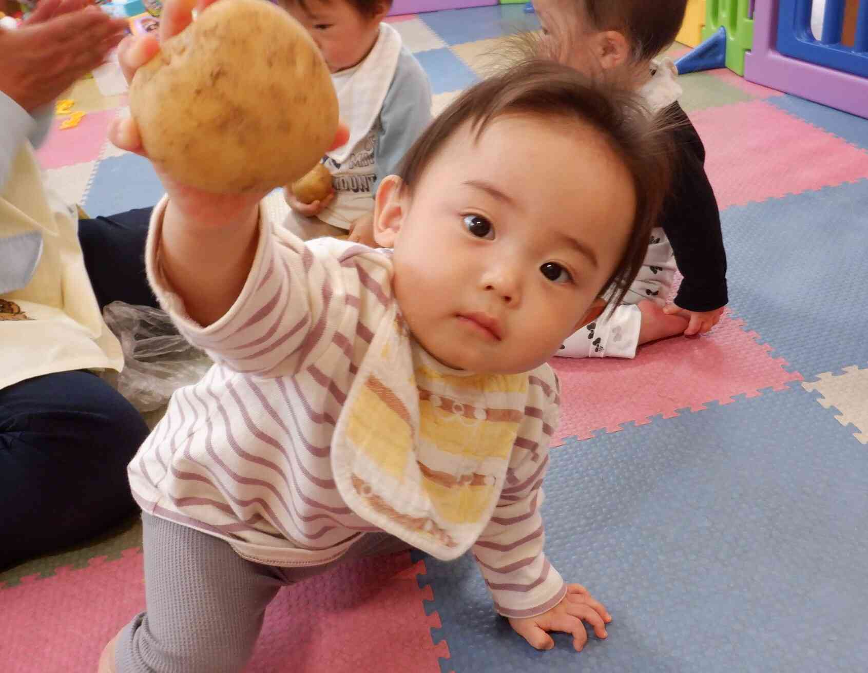 前日にじゃがいもを触ったよ！