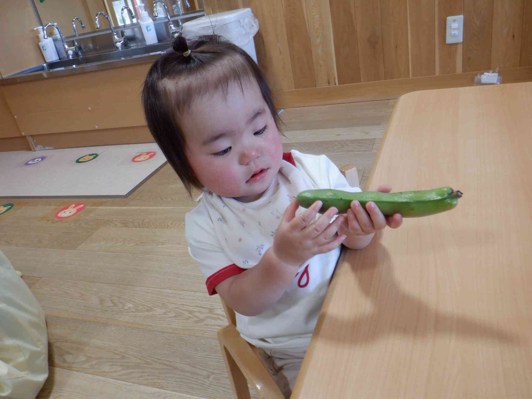 これなんだろう？