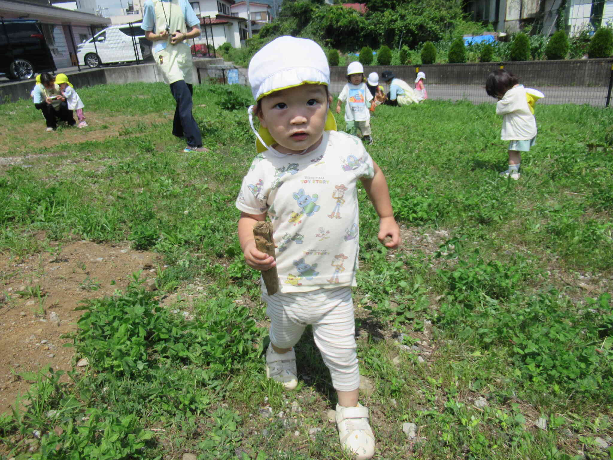 どこからか太い木を見つけてきたよ♪