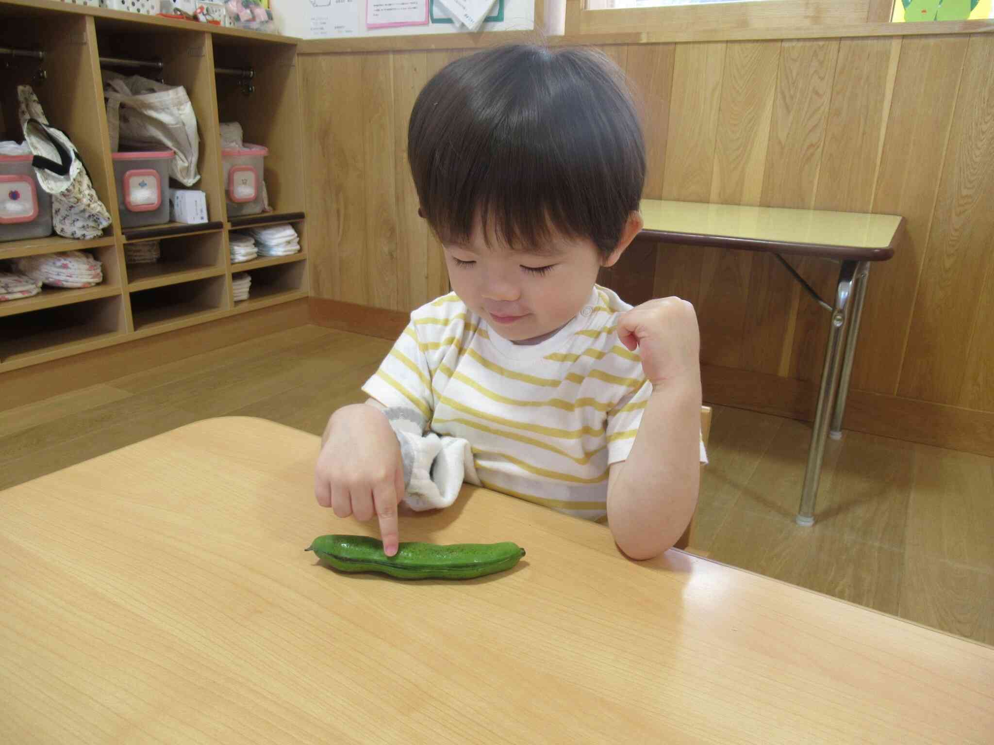 触ってみたよ☆