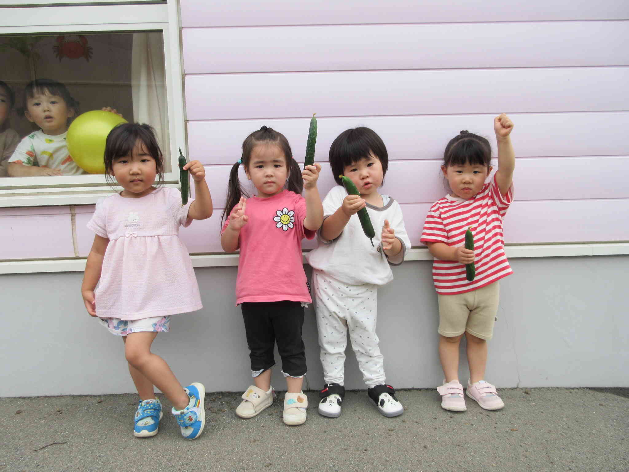 野菜の収穫　ぺんぎん2組(2歳児)