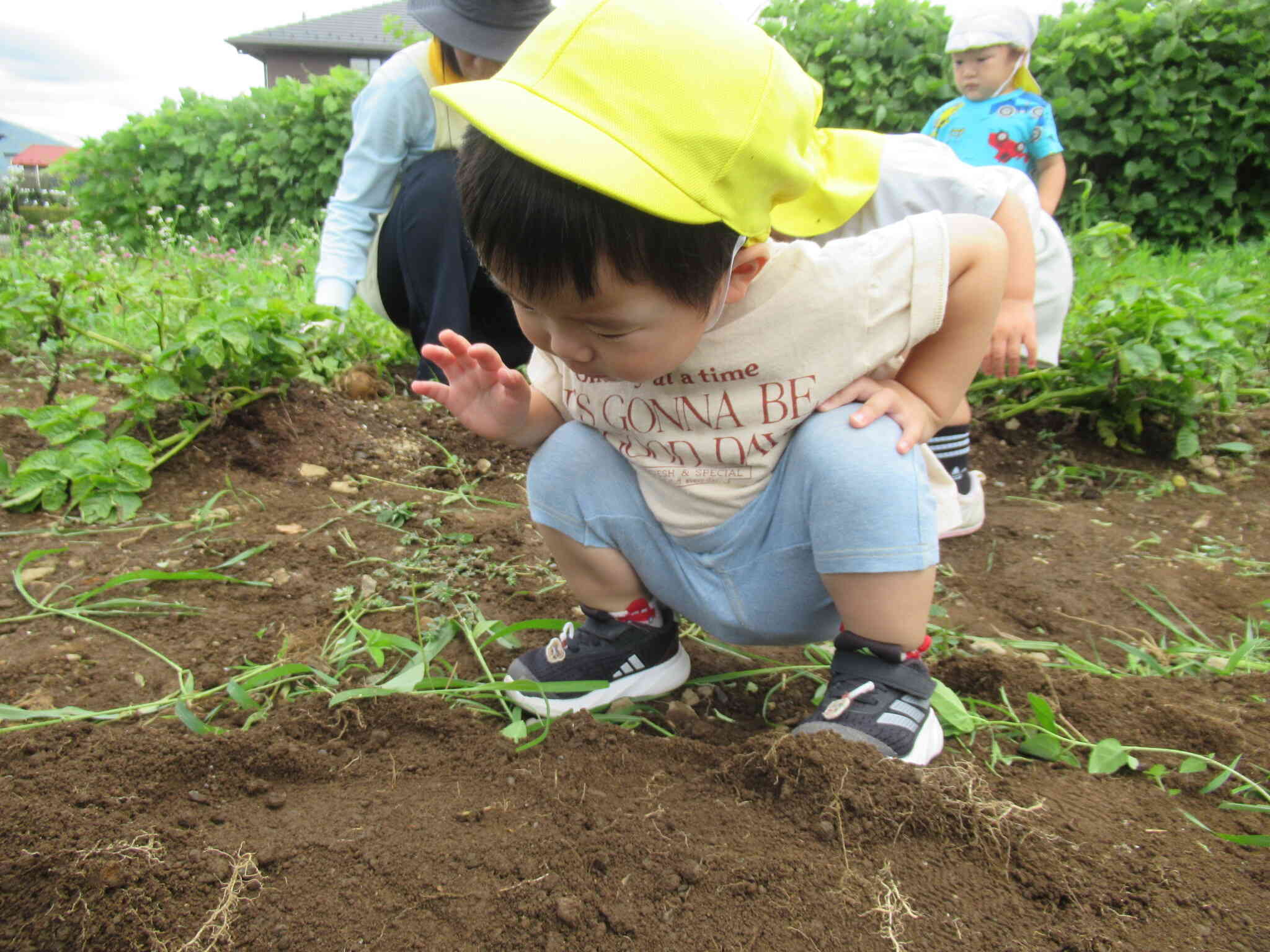 何かいるかな？