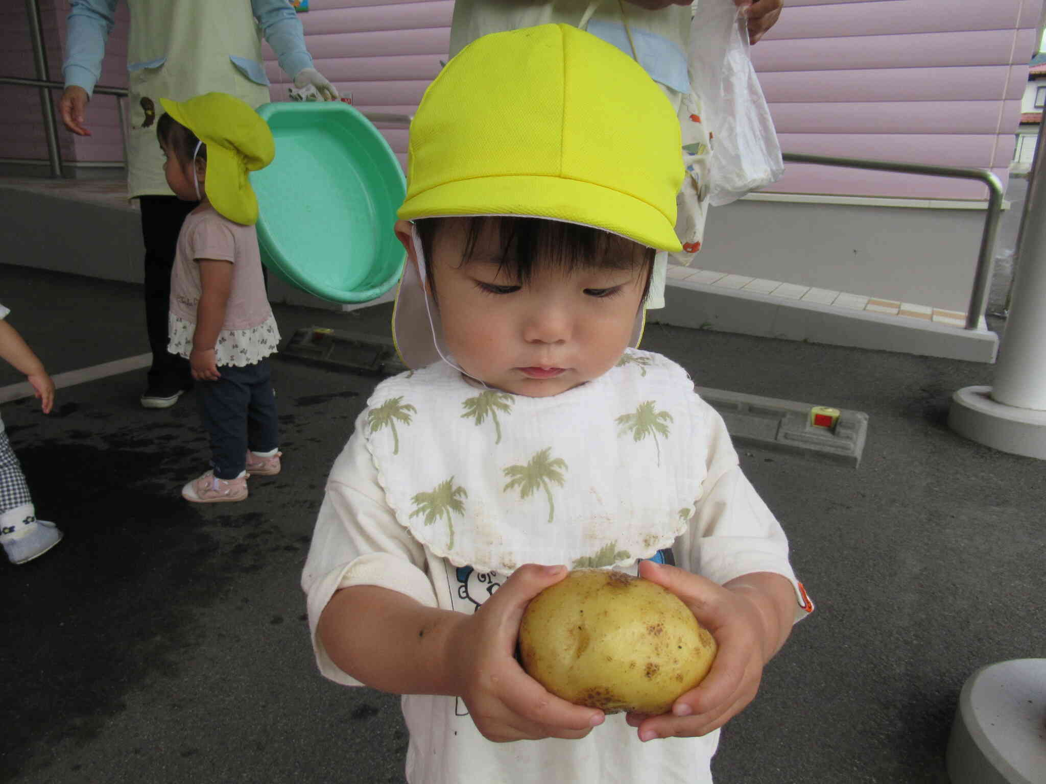 じゃがいも綺麗に洗ったよ！