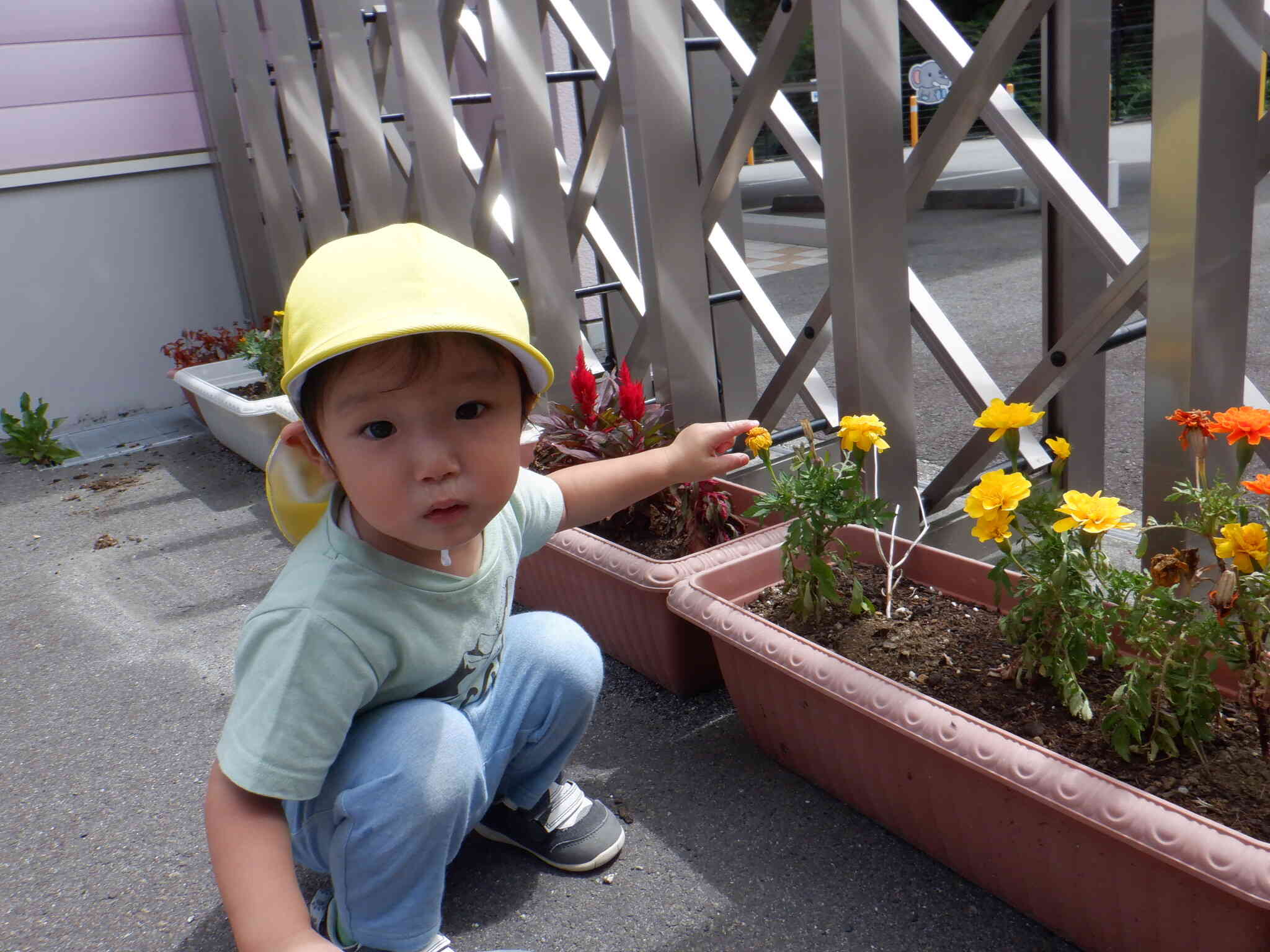 楽しい外遊び　あひる1組　1歳児