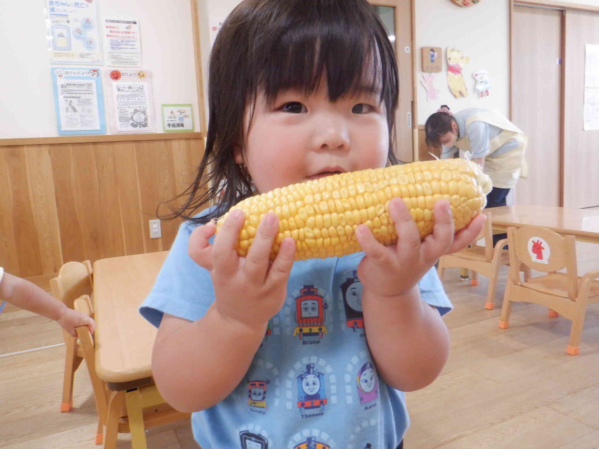 とうもろこし触ってみたよ♪