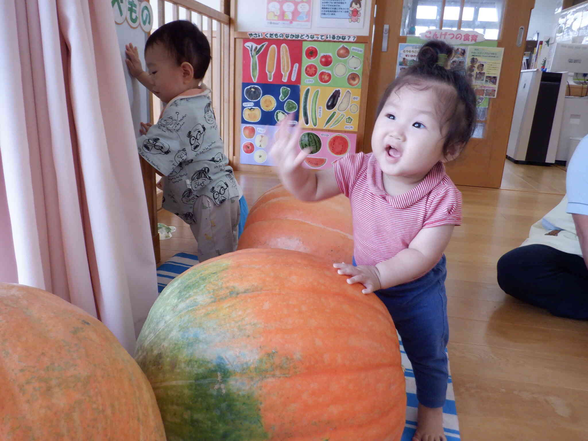 かぼちゃを触ってみたよ！
