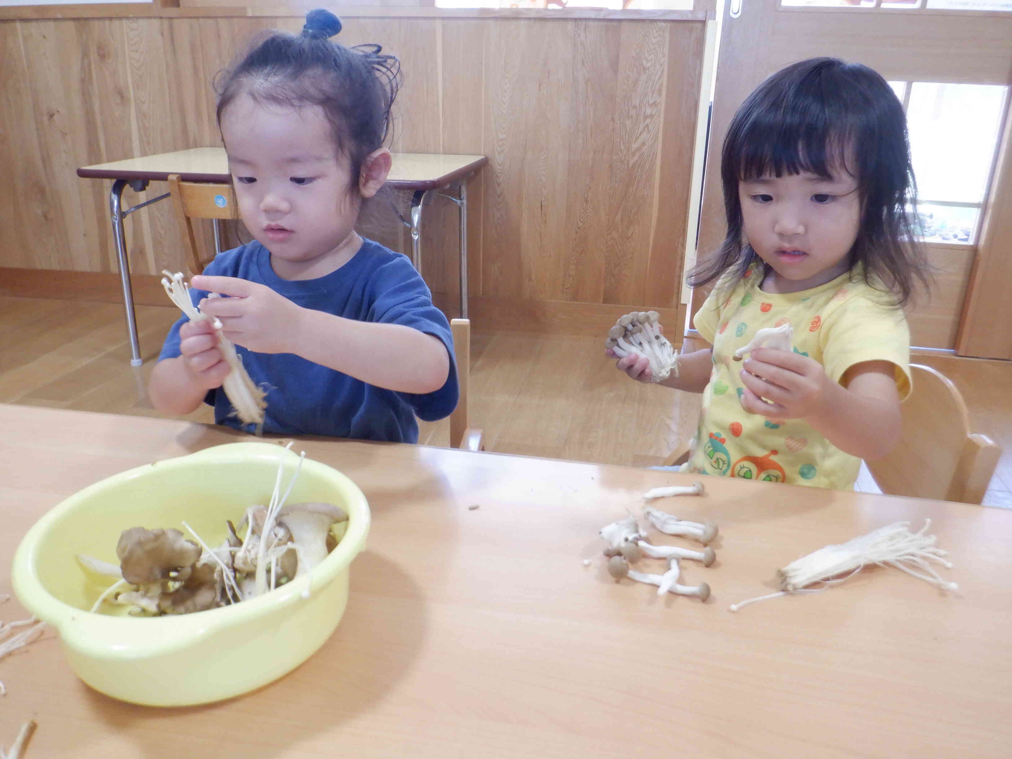 食育　きのこに触れる