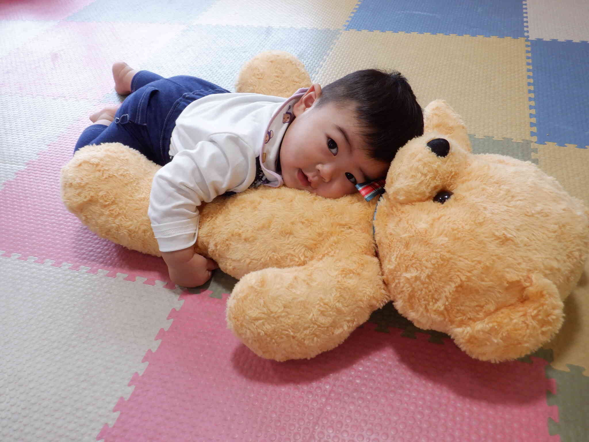 クマさん大好き♡