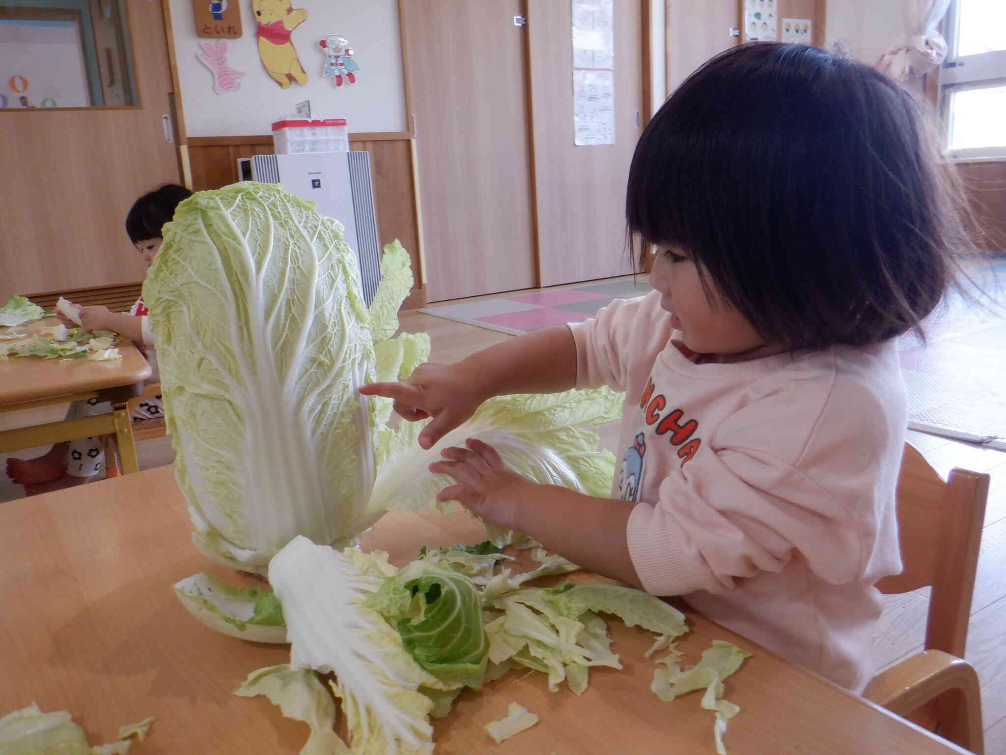 はくさいをむいてみよう♪