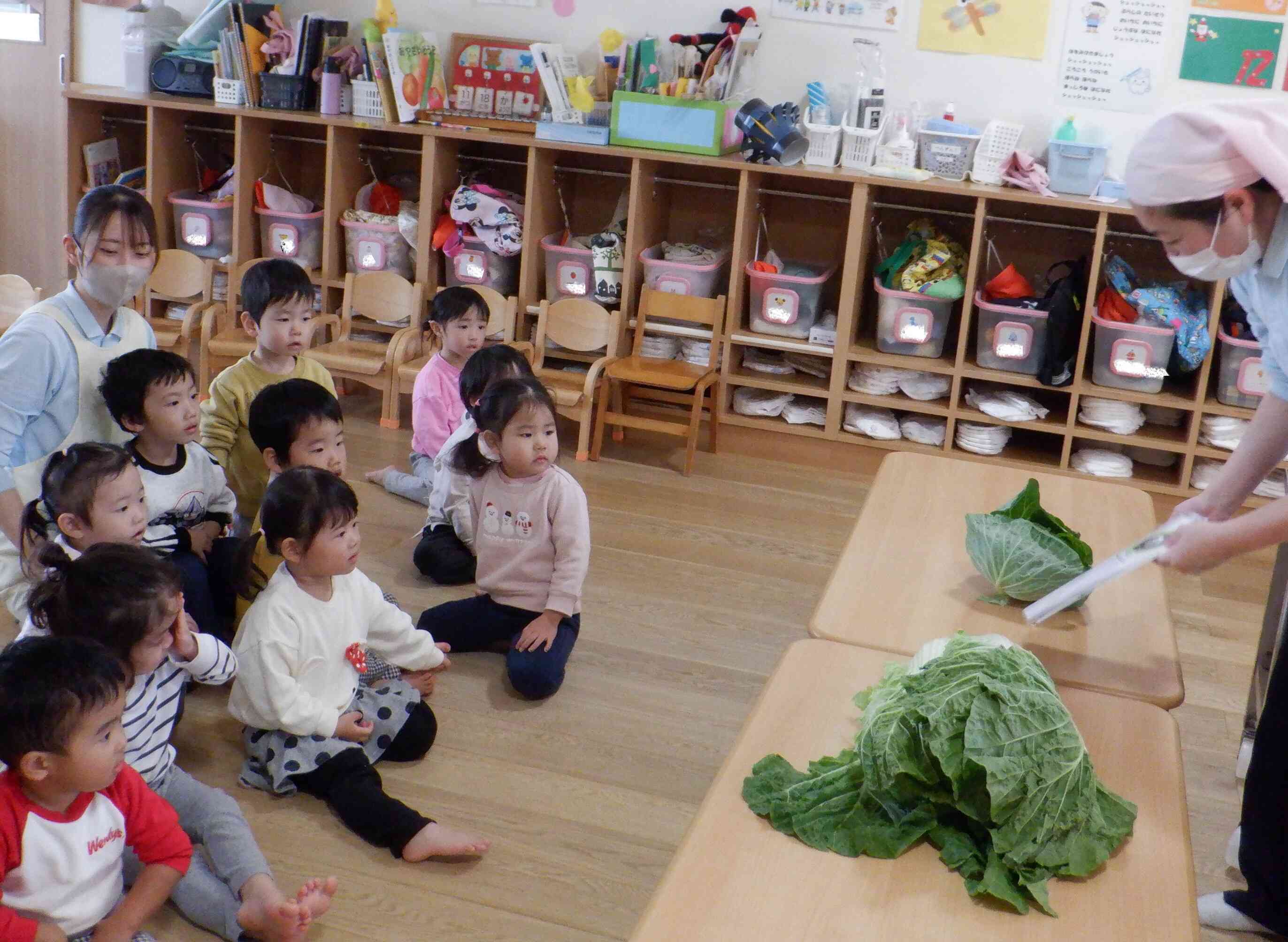 食育　白菜とキャベツの葉に触れる