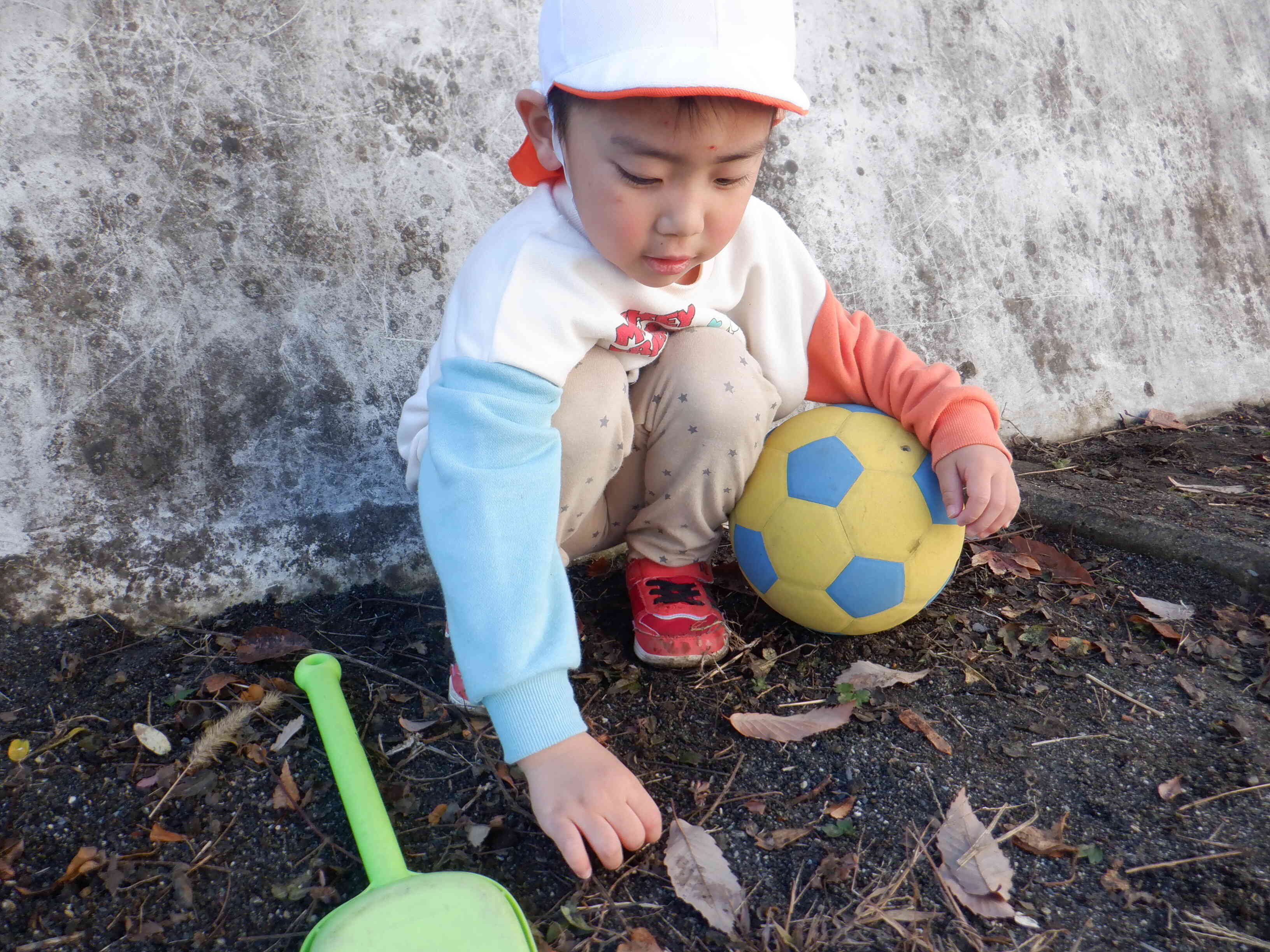 秋になり落ち葉がたくさん落ちていたよ♪