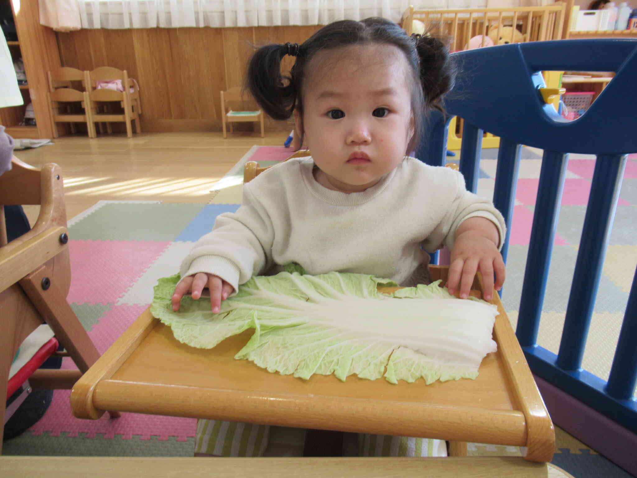 白菜の葉っぱ大きいね！