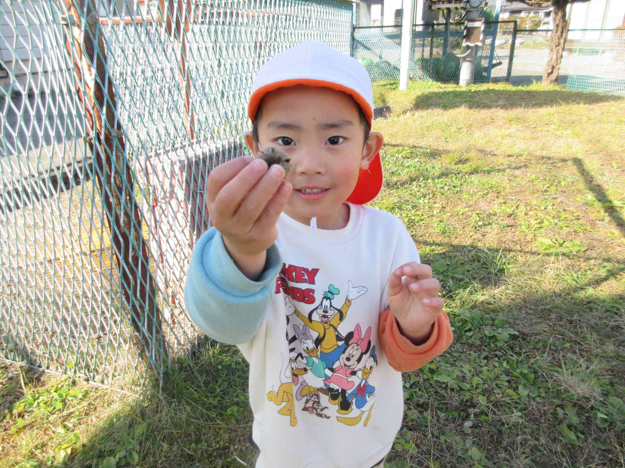 木の実見つけたよ～