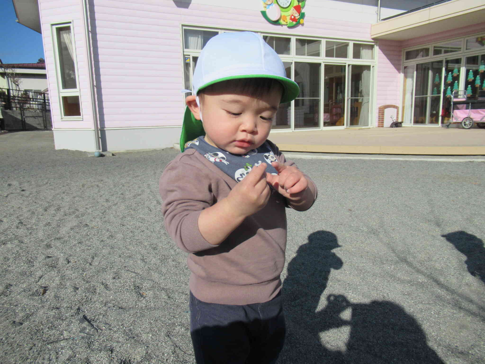 お庭で葉っぱや小石を見つけて観察中…