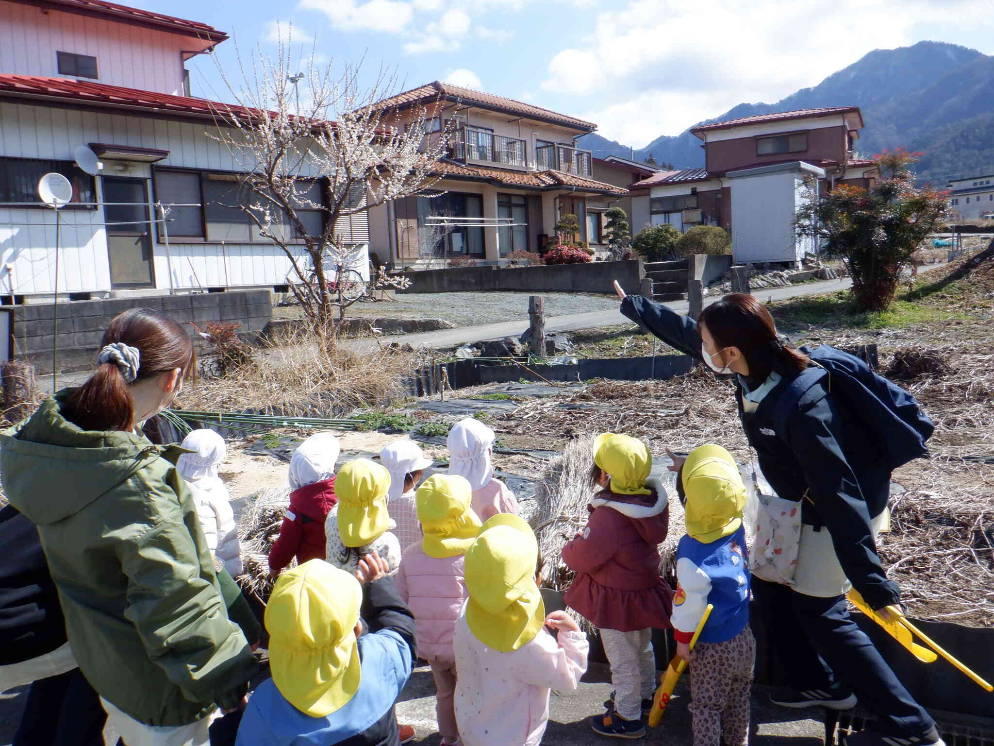 梅の花が咲いているのを見つけたよ♪