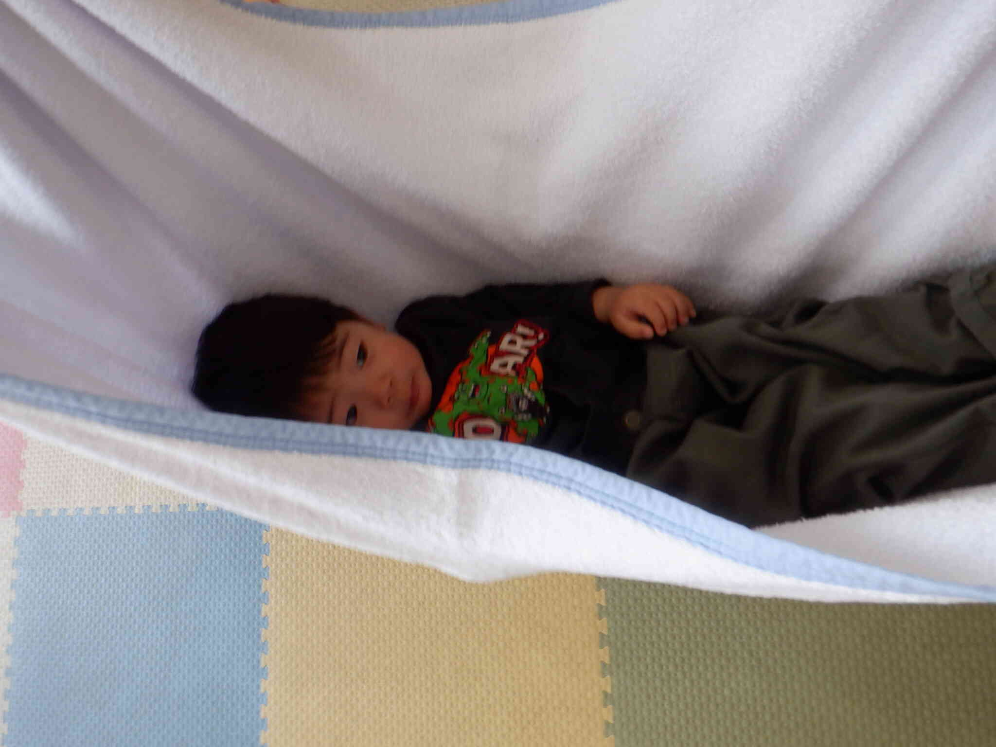 揺られてうっとり♪