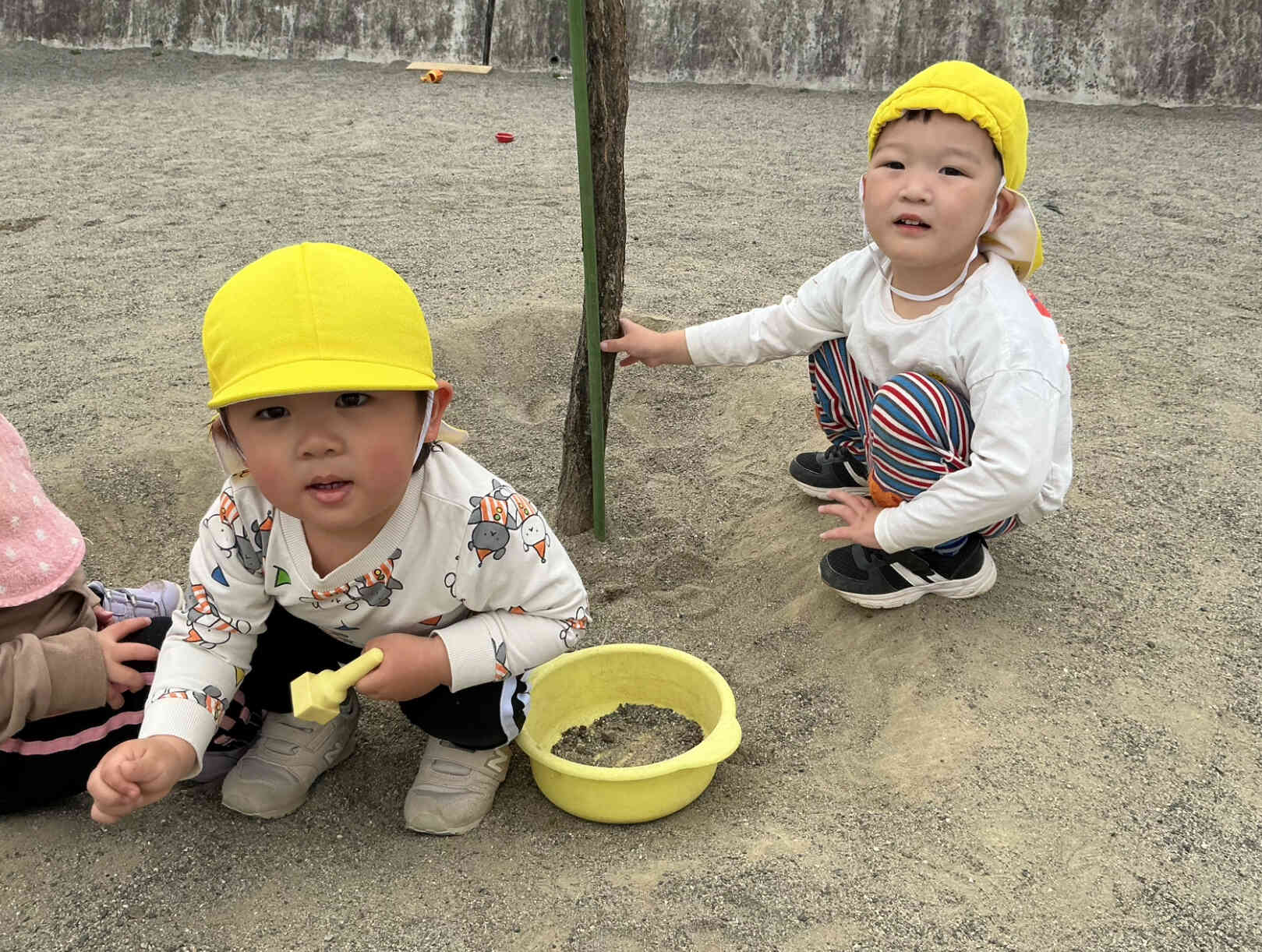 アリさんいるかな？