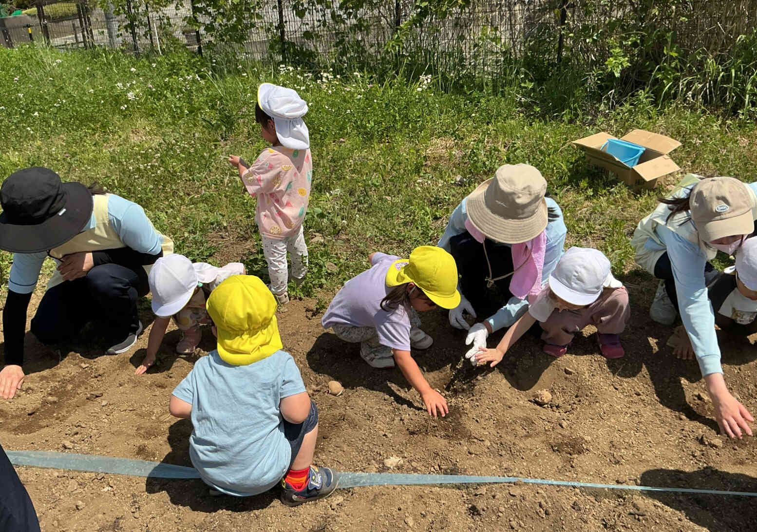 優しく土の穴に入れてみるよ♪