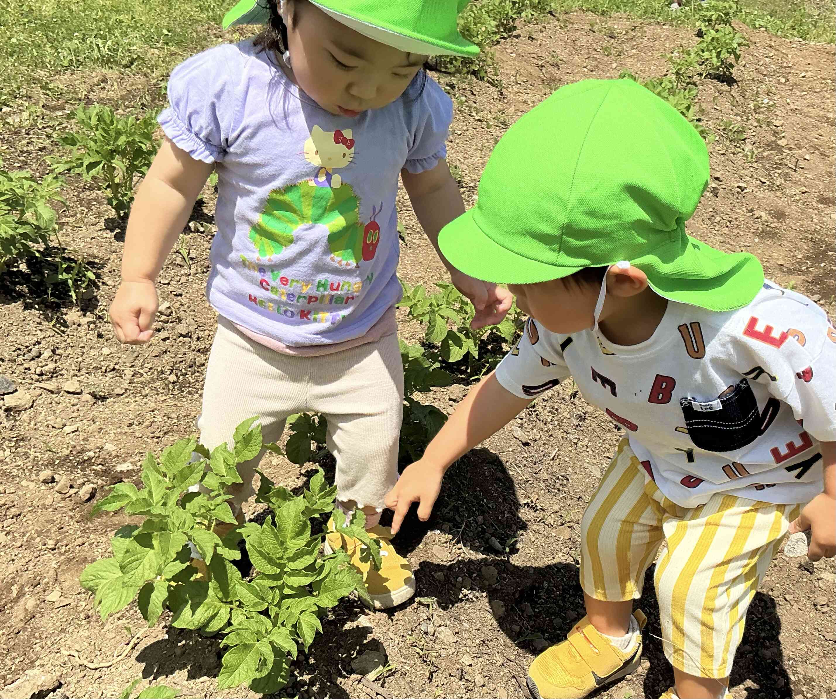 じゃがいもさん、大きくなったかな？あひる1組（1歳児）