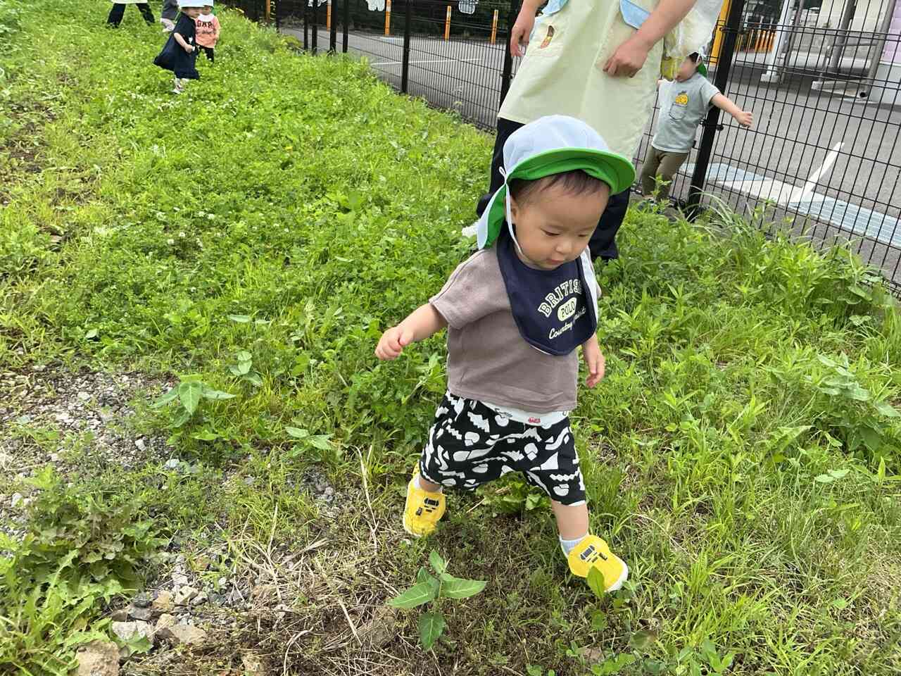 畑で遊んだよ〜！　あひる２組（1歳児）