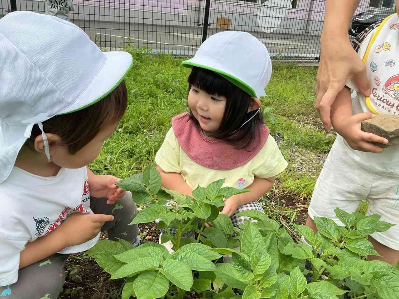 何かいるかな？