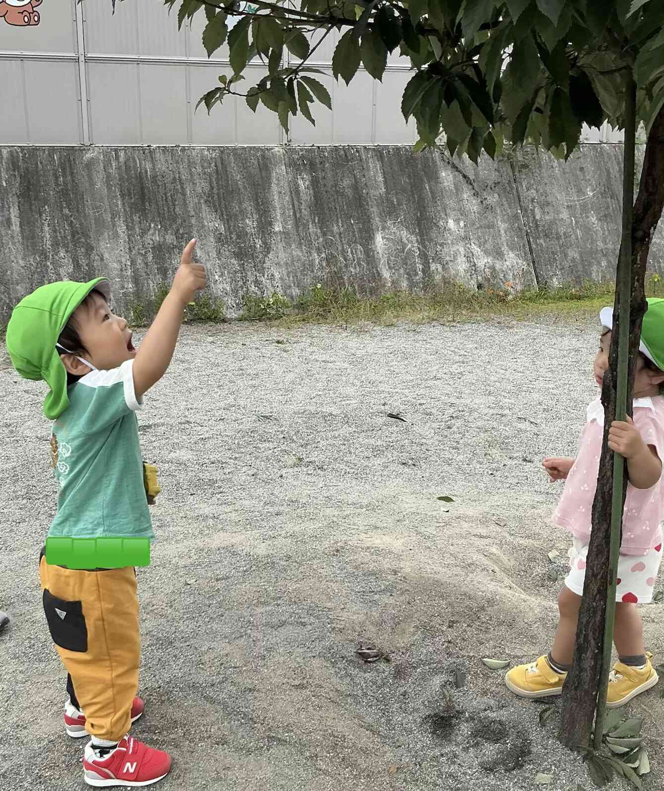 お外遊びは発見がいっぱい★あひる1組（1歳児）