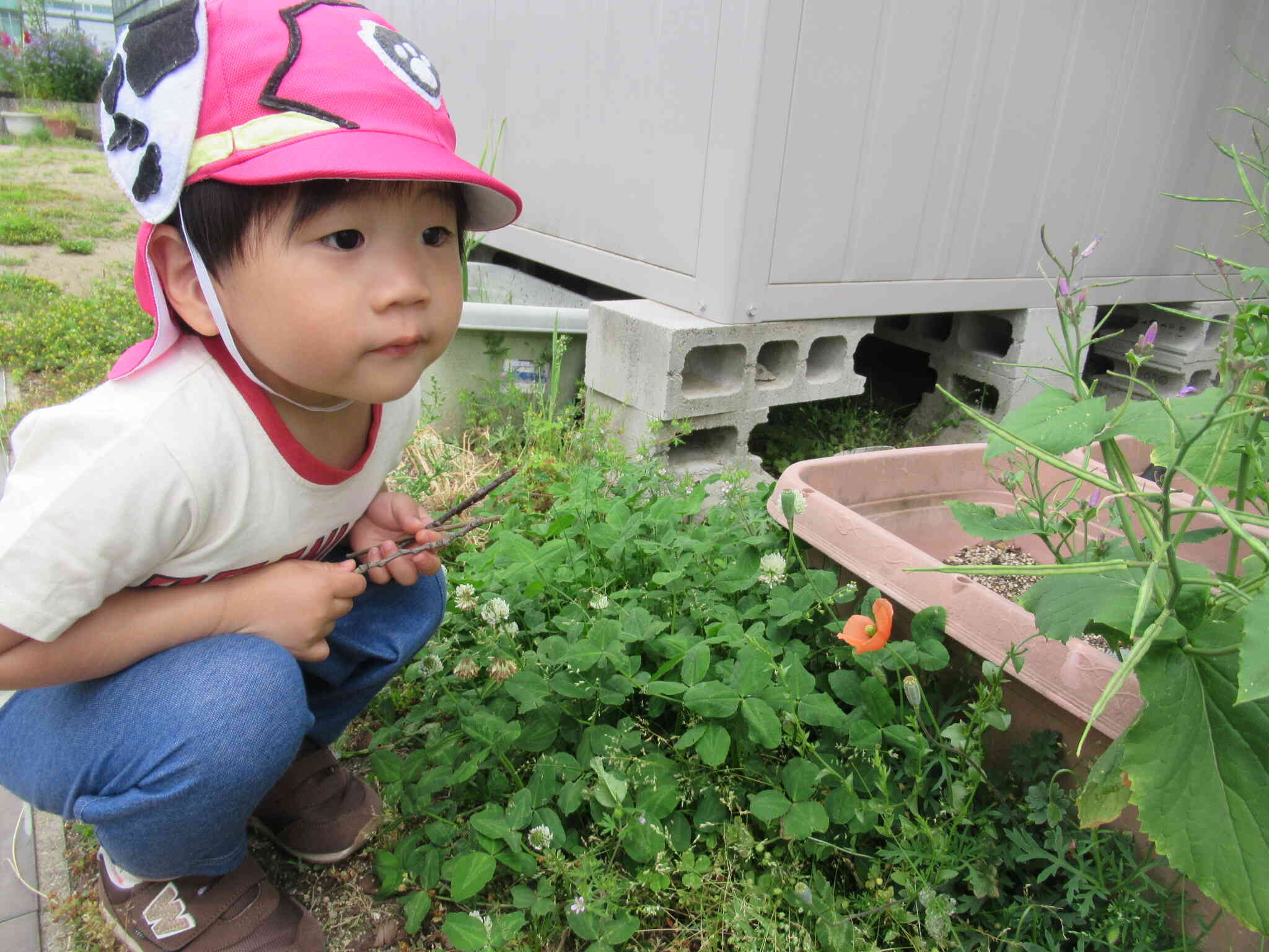 探索、探索～♪