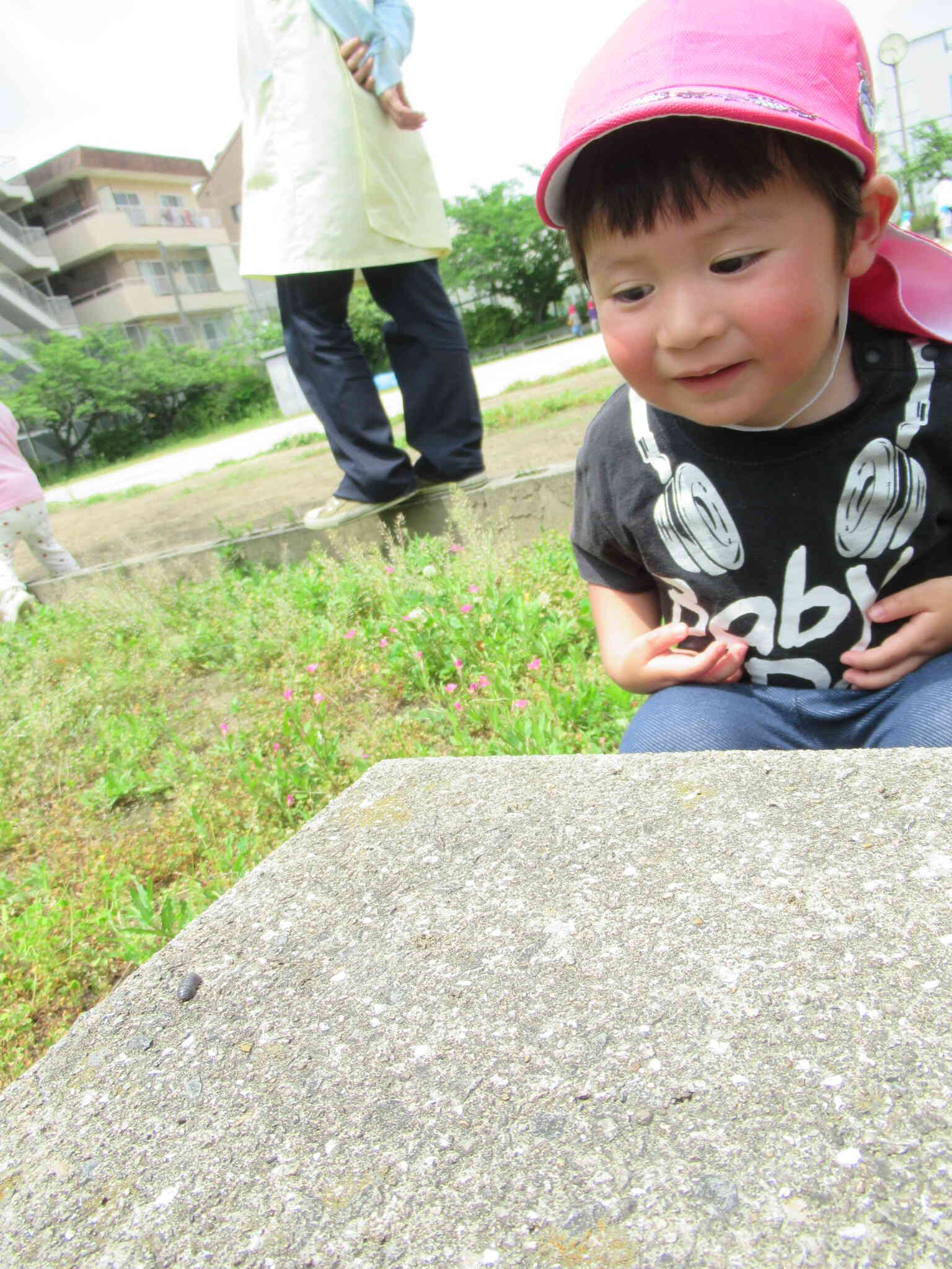 この虫、な～んだ？