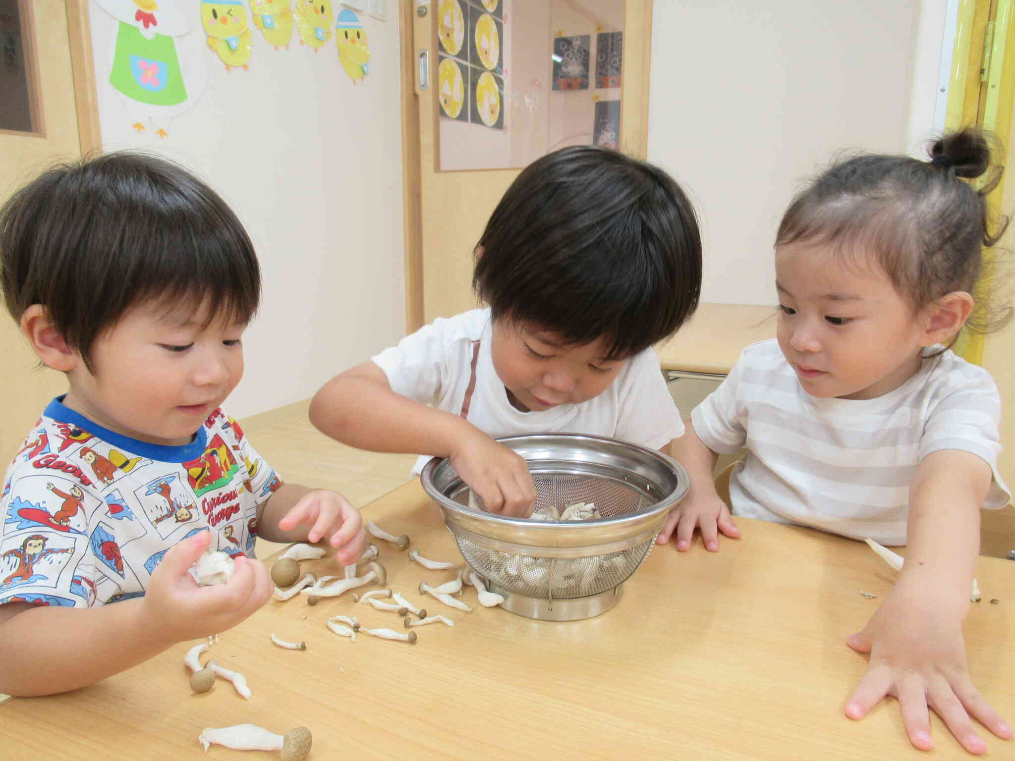 きっきっきのこ～♪