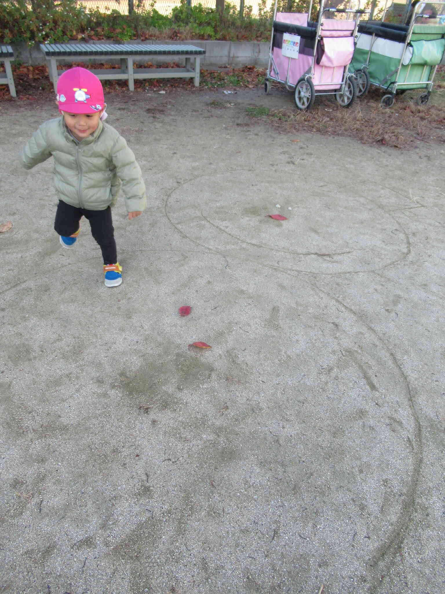 おおきい！！！