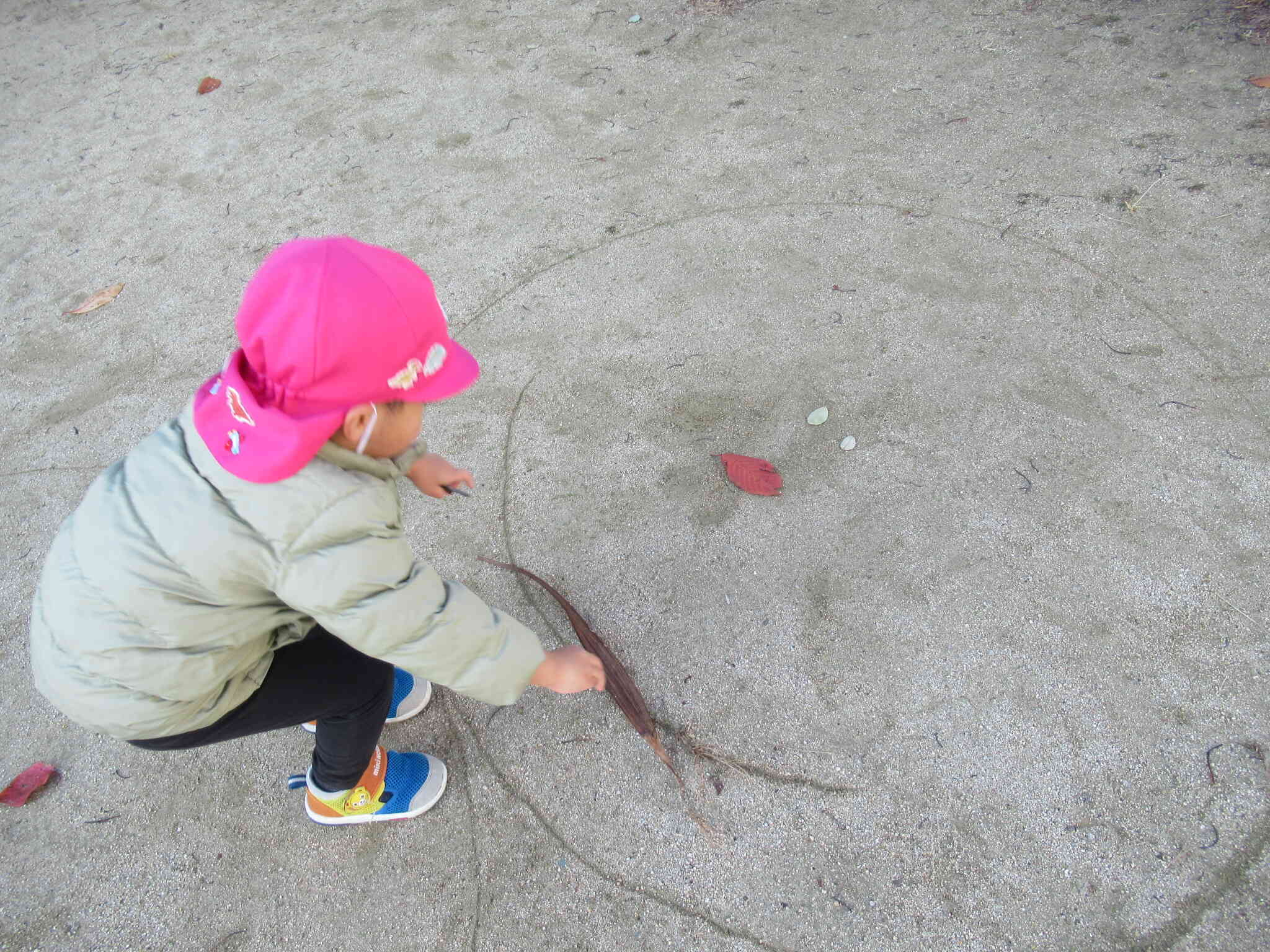 ねぇねぇ、これね？