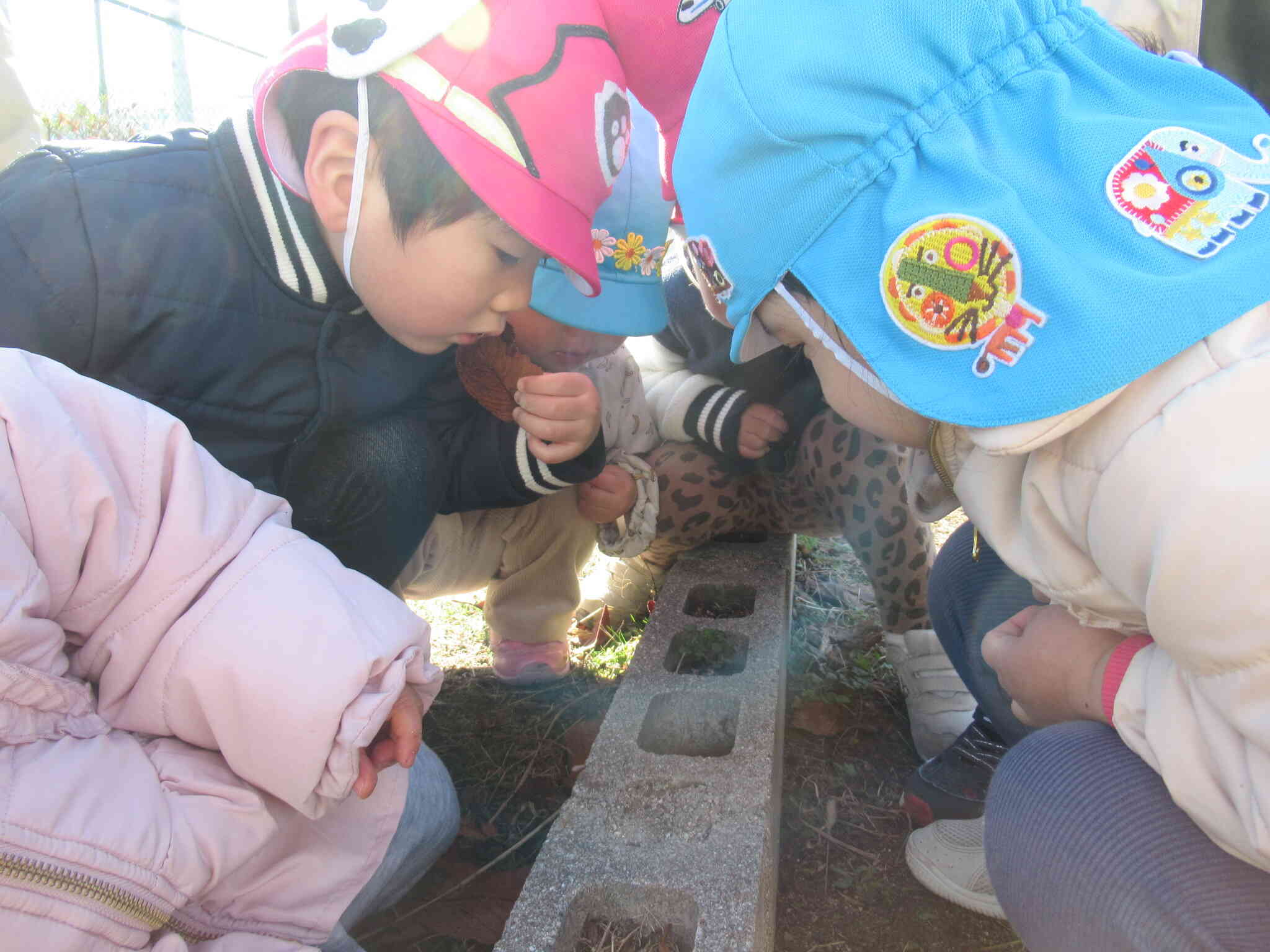 今日はお外に出られたよ～。あ、ここに何かいるよ～、みんな来て来て！