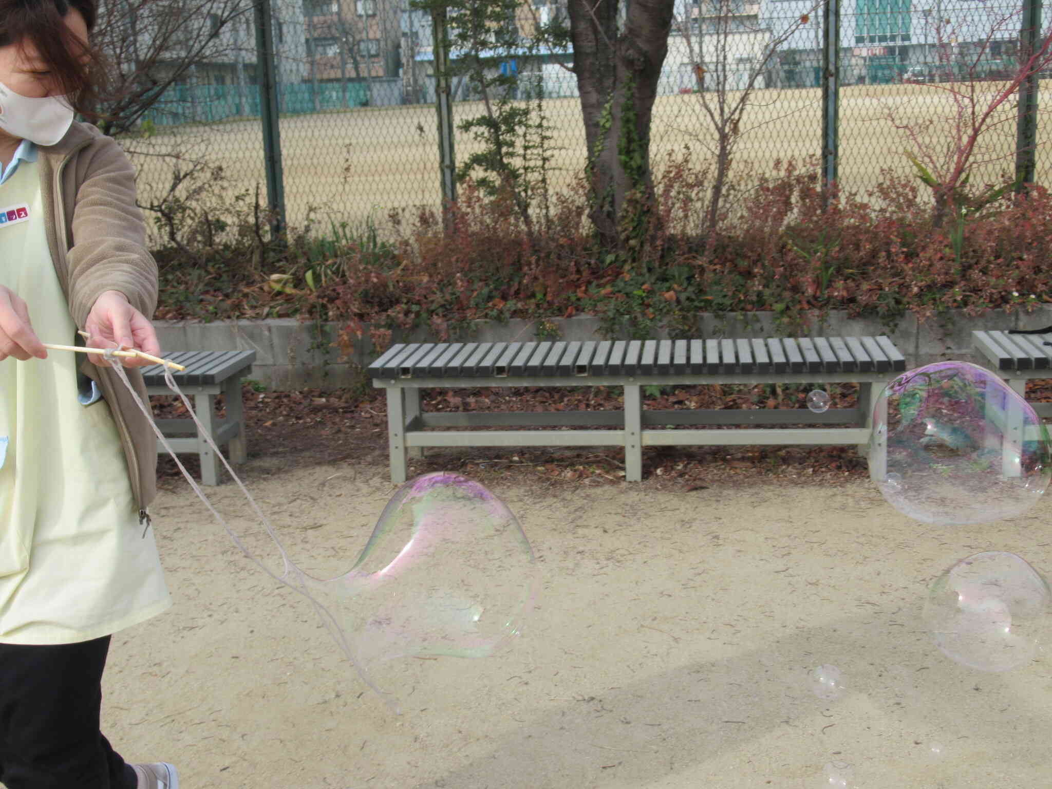 シャボン玉、おまけ写真。すごいよね？！