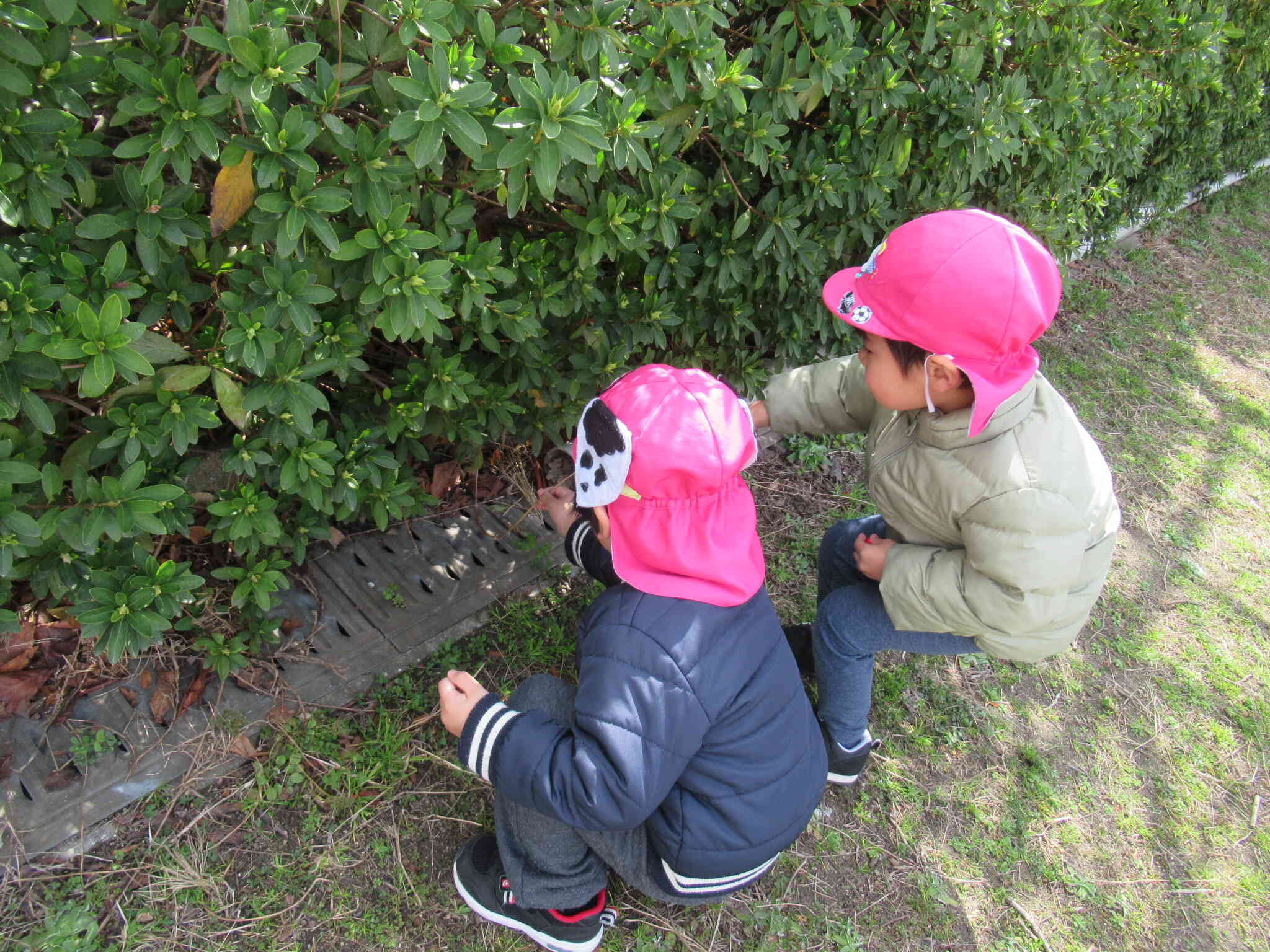 春～♪・・・の、はずですよね？？？