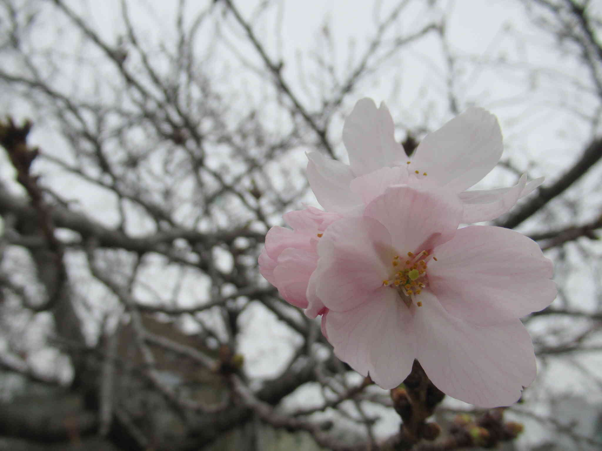 2025年度最終日！！