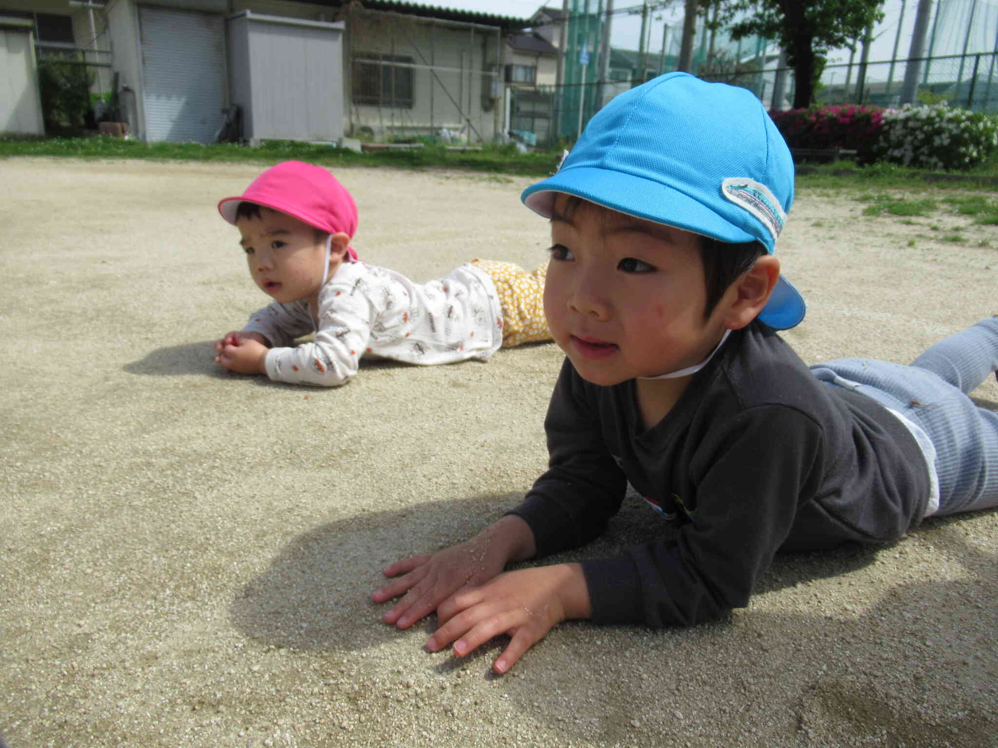 これは、あれだ、うん！！